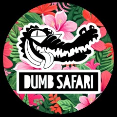 PREMIERE: Mees Mattern - Da Slapper [Dumb Safari]