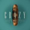 Download Video: Seal - Crazy (Robert Georgescu And White Remix)