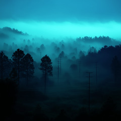 midnight fields (sped up)