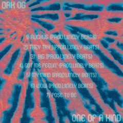 RUCKUS (PROD.LXNELY BEATS)