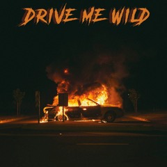 3 One Oh - Drive Me Wild