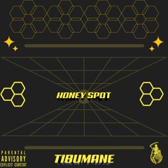 HONEY SPOT VOL 1