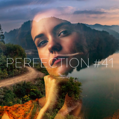 PERFECTION #41