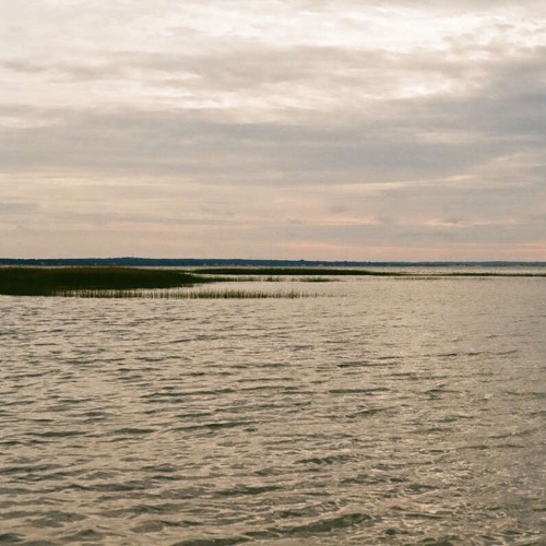 "i know the story of a rose." for JACK Quartet (June 2023)