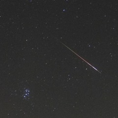Perseids