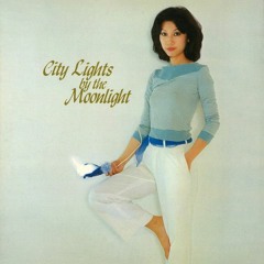 City Lights By The Moonlight - Tomoko Soryo