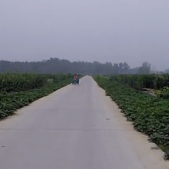 故乡(Hometown)