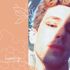 honey (cover) [feat. HMSMIV]