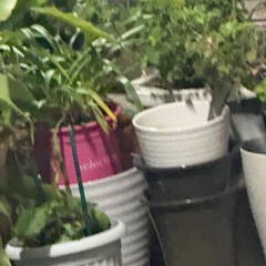 Staymore(ft.filthy low)