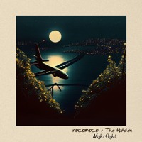 rocomoco x The Hidden - Nightflight