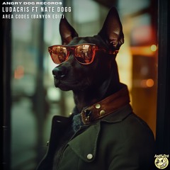 Ludacris Ft Nate Dogg - Area Codes (Banyon Edit) Free Download