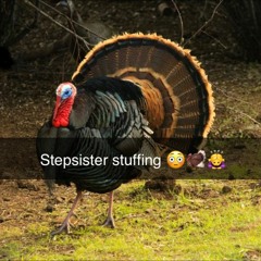 Stepsister Stuffing (prod. rexpy)
