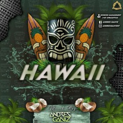 HAWAII 🐻 (Andres Galviz) 2020