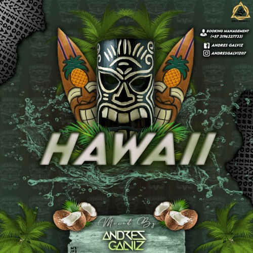 HAWAII 🐻 (Andres Galviz) 2020