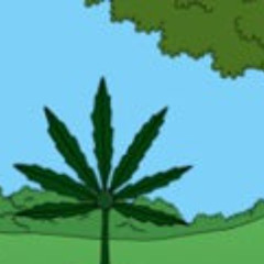 my favorite color green