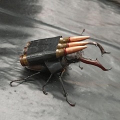 BXSTVRE - FLUTTER BY SWORN.wav