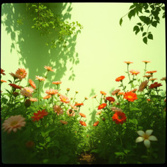 The garden