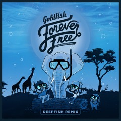 Forever Free DeepFish Glider Port Mix