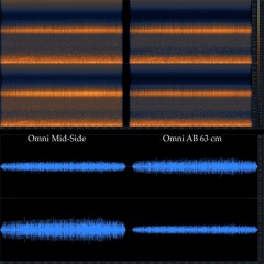Omni Mid-Side and Omni AB Comparisons