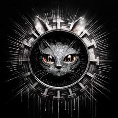 Kitty kitty Go GO