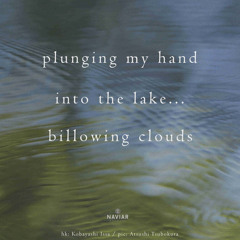 The lake (naviarhaiku581)