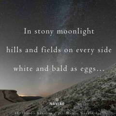 In Stony Moonlight  ( Naviarhaiku 395 )
