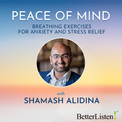 Shamash Alidina - Peace of Mind, Sample