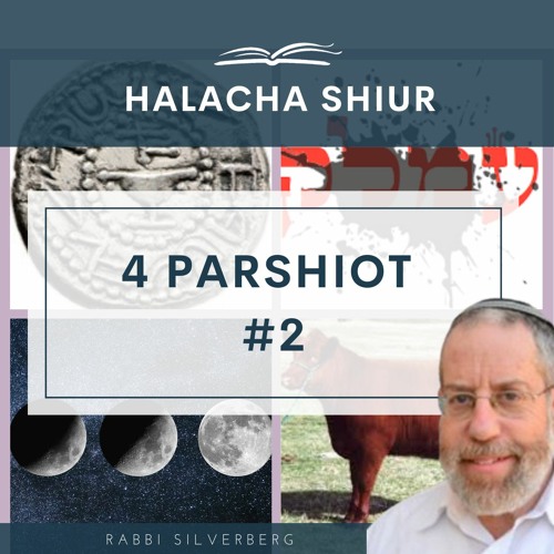 Four Parshiot #2