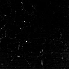 [FREE] (Noize MC - Грабли Remix)