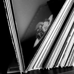 sleep passed into life/vinylmixsamwel