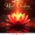 Artwork for Root chakra activation frequency - Öffne dein Wurzel-Chakra DEMO