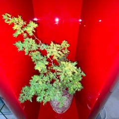 passage in consciousness (feat. KUDOKUSHI)