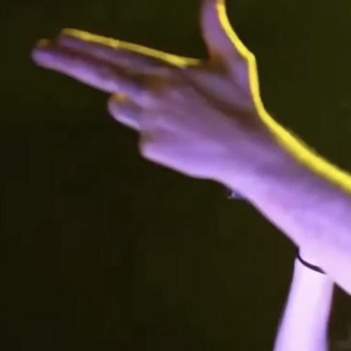 BONES - PerfectTiming (Unreleased)