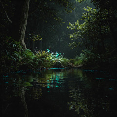 AFLOT – Techno Fusion Set Live @Zozios, Fête de la Musique, Bois de Vincennes, Paris 21.06.2025