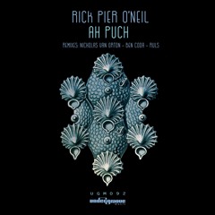 Rick Pier O Neil - Ah Puch (Nicholas Van Orton Remix) [PREVIEW]