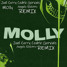 Joel Corry Cedric Gervais - Molly (Angelo Elektro Remix)