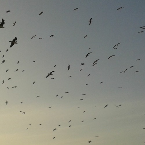 Stream Sound Of A Story That Surely Exist by BADREبدر Listen online for free on SoundCloud