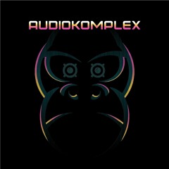 AUDIOKOMPLEX 4.3 M. Killinger @ CLUBERDBEERMUND 27.01.2024