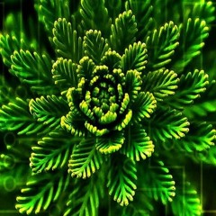 ParTy FreaKs In Goa- mix featuring DJ FRONKY  .MP3