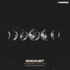 Flitz&Suppe and Leavv - nodoubt