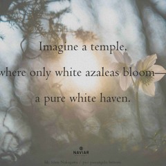 White Metal [ naviarhaiku551 ]