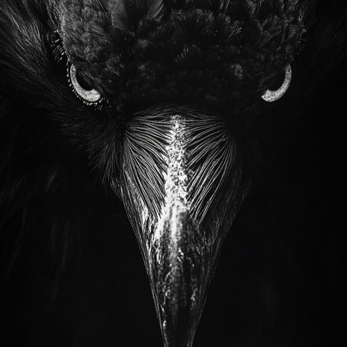 Why Lie/Experiments (Prod. Trxgon + jx99)