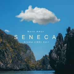 FREE DL_Novo Amor - Seneca [Aroma(IND)Edit]