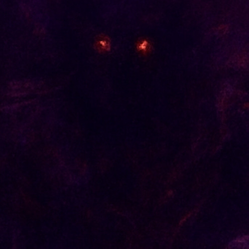 narkotic$