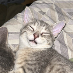 wantthesmoke w/ 4ciel