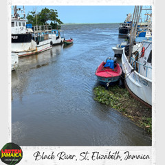 Underwater Clicks at Black River in St Elizabeth May 2025 - HEADPHONES Please