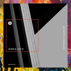 PREMIERE: NorB & juSt b — Different Places (Vocal Mix) [Bedrock Records]