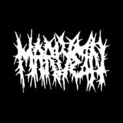 Mariyein - Listo Pa La Muerte (2019) Full Album HQ (Mince/Grind)