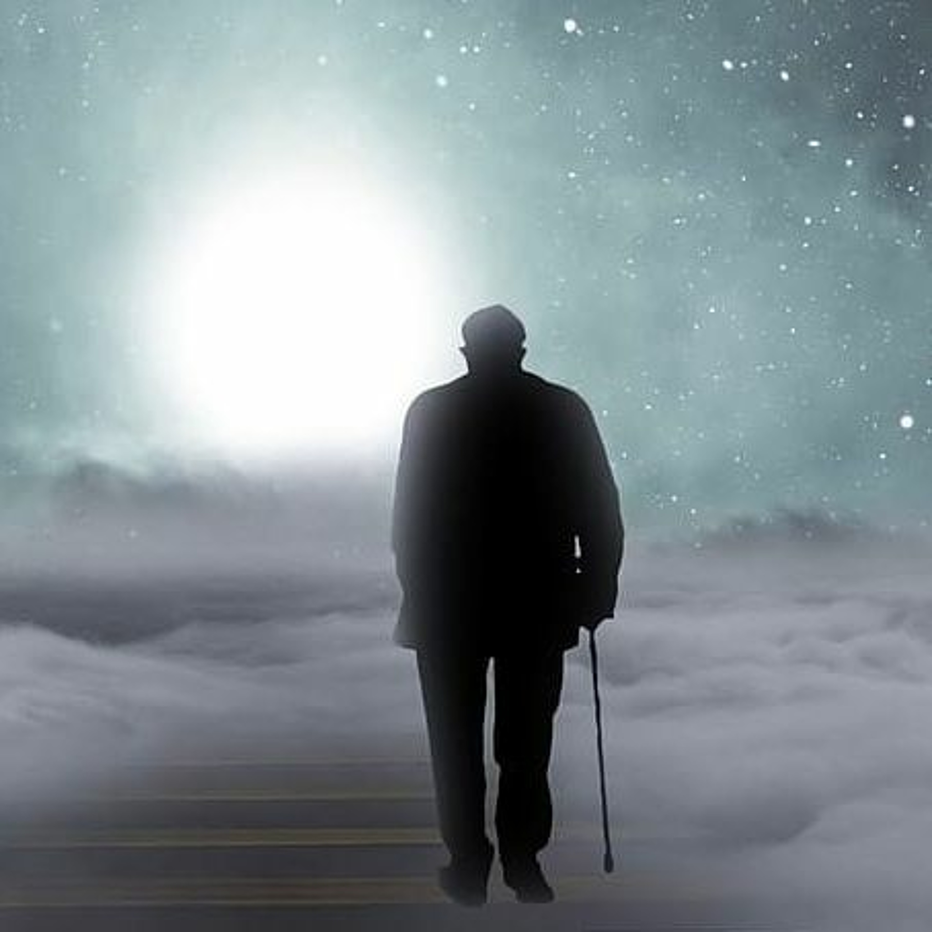 Samotny gołąb episode artwork