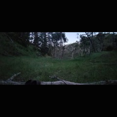 2025.11.12 Dawn at Cudlee Creek. Spring. (Excerpt. ORTF.)